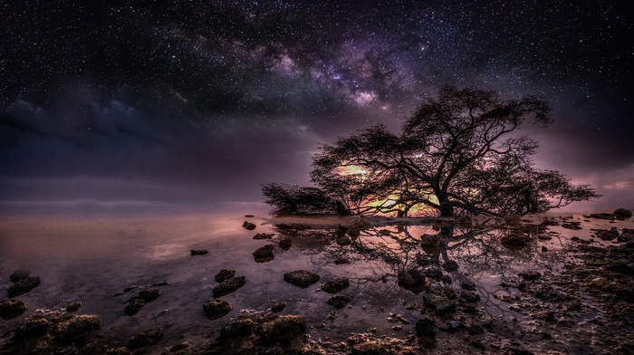 stars, water, nature, trees, night, Milky Way