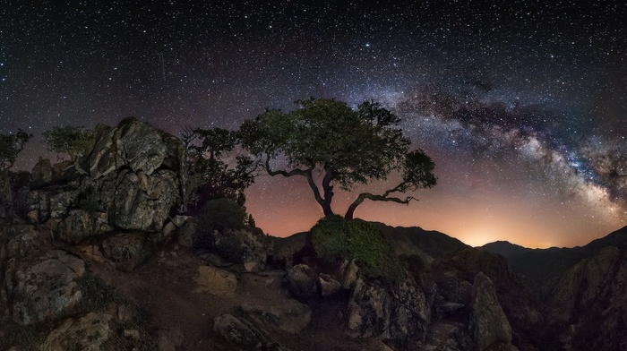 nature, galaxy, trees, mountain, starry night, long exposure, lights, Milky Way, landscape