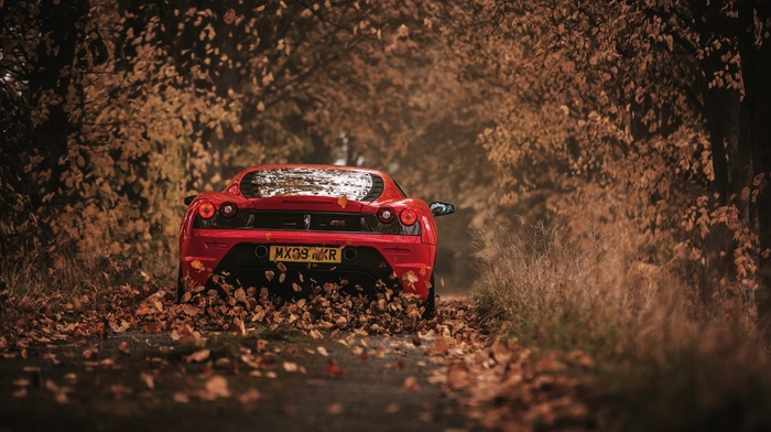 leaves, car, Ferrari, road