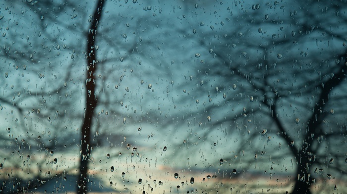 water drops, window, trees
