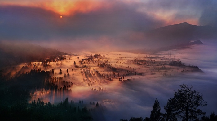 mist, forest, sky, valley, trees, nature, landscape, sunrise, mountain