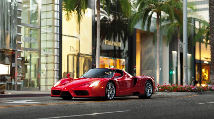 Ferrari, Ferrari Enzo, palm trees, car, street