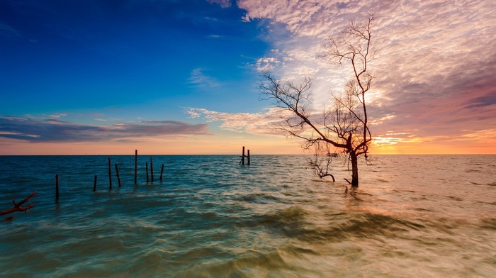 sea, nature