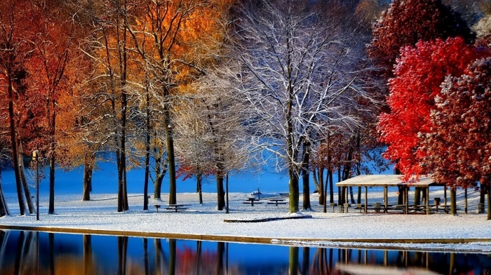 nature, water, snow, trees, bench, colorful, landscape, fall