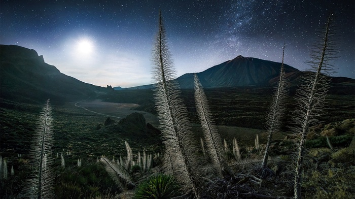 moonlight, Milky Way, Tenerife, starry night, Spain, landscape, nature, mountain, shrubs, Max Rive