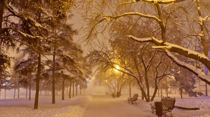 snow, winter, trees, road