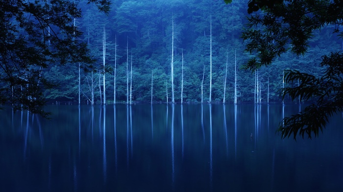 lake, forest, landscape, trees