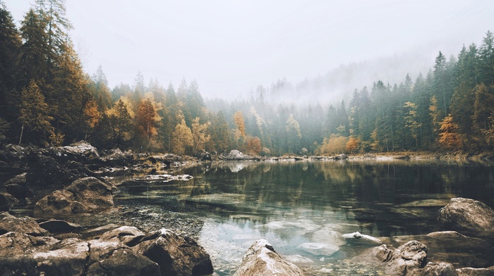 landscape, trees, lake