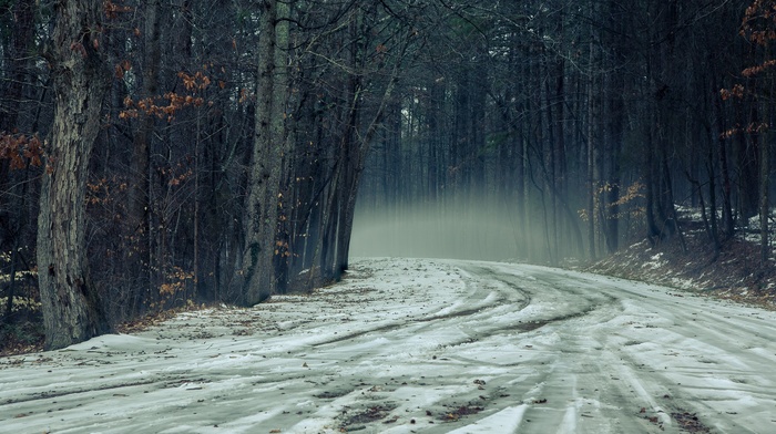 snow, road, trees