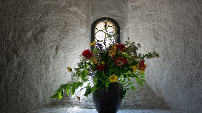 window, flowers