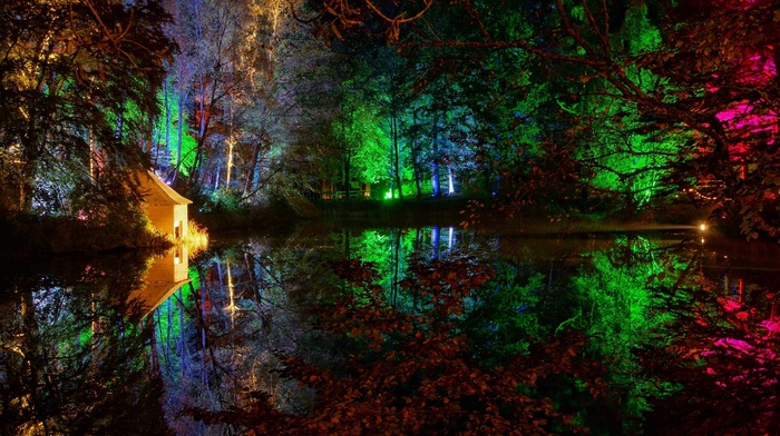 lake, trees, colorful