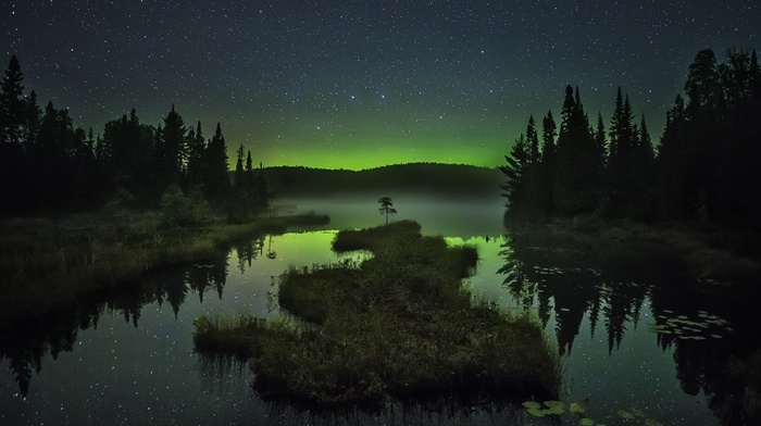 lake, trees