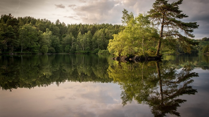 lake, trees