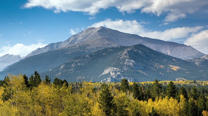 landscape, trees, mountain