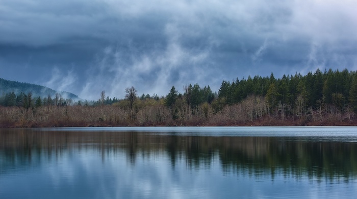 lake, clouds, mist, trees