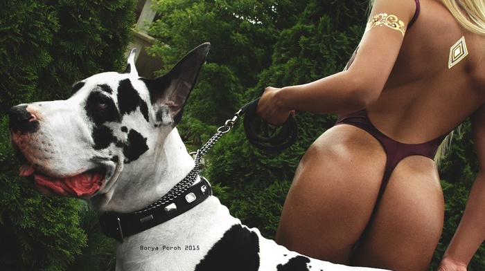 One, piece swimsuit, blonde, dog, animals, Anastasia Tretyakova, ass