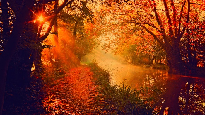 river, fall, sun rays, trees