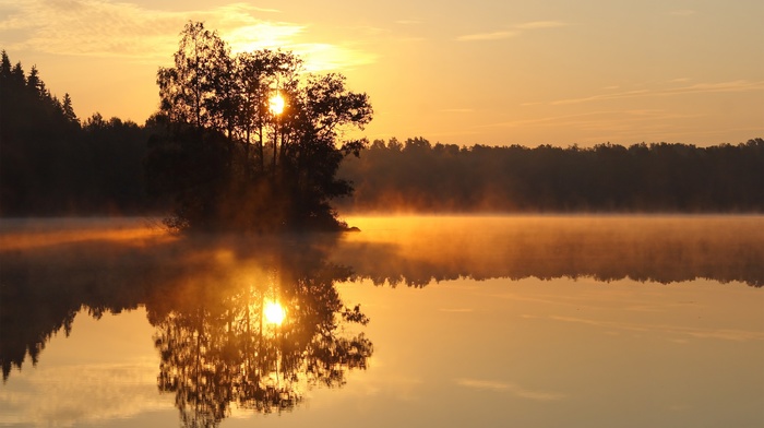 landscape, Sun, lake, trees