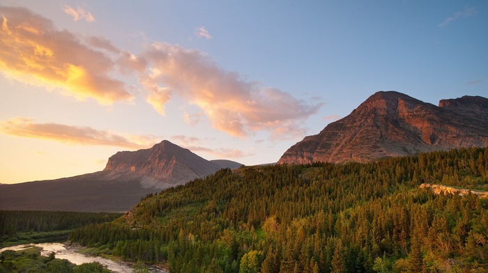 forest, trees, river, mountain