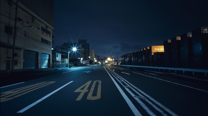 night, city, street, Japan