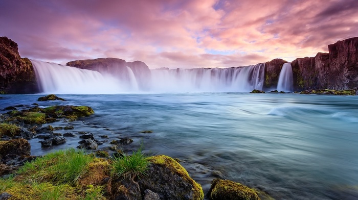 nature, photography