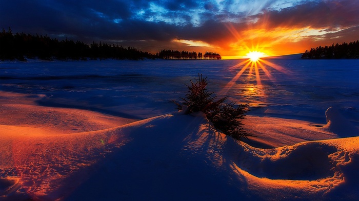 nature, photography