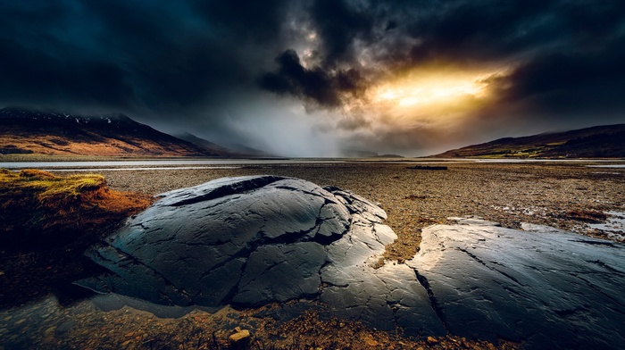 nature, photography
