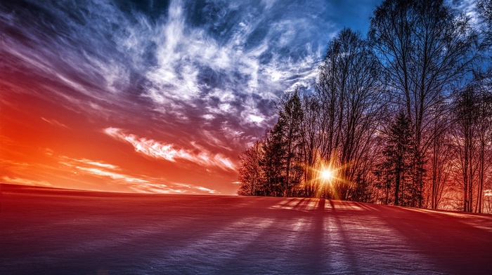 nature, photography