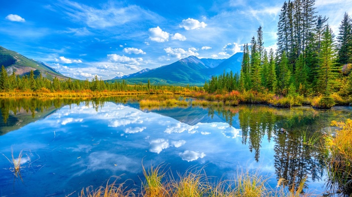 nature, photography