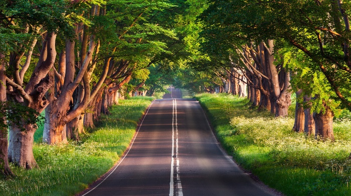 nature, photography