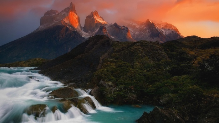 nature, photography
