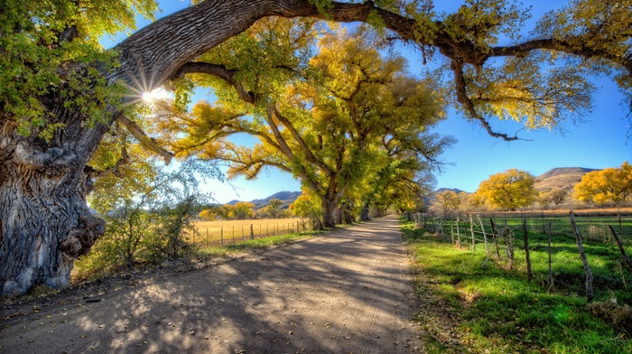 photography, nature