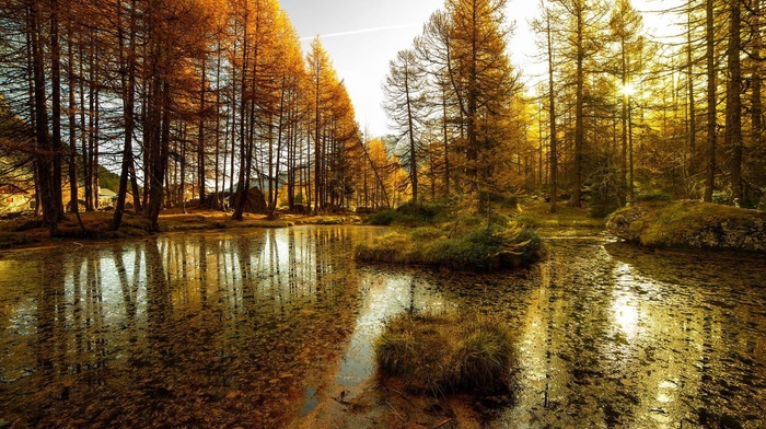 photography, nature