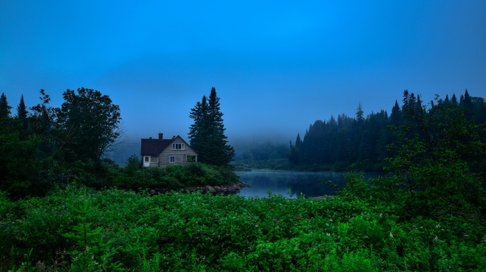 nature, photography, house