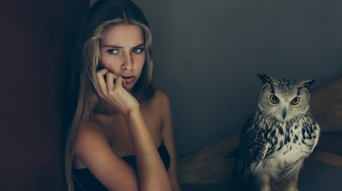 girl, birds, Camille Rochette, owl, animals