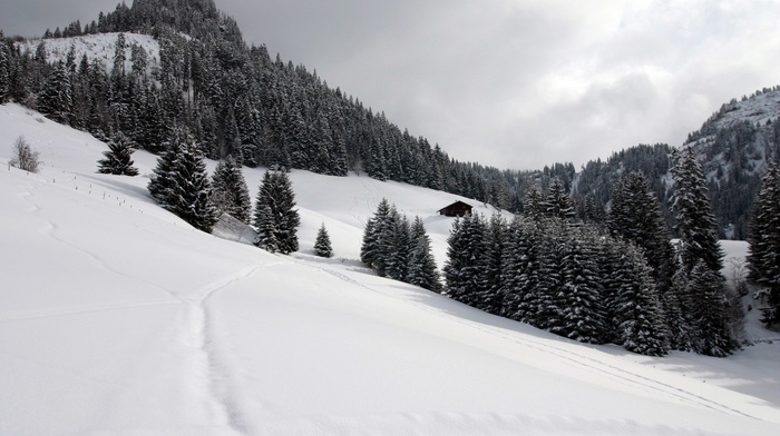 landscape, snow