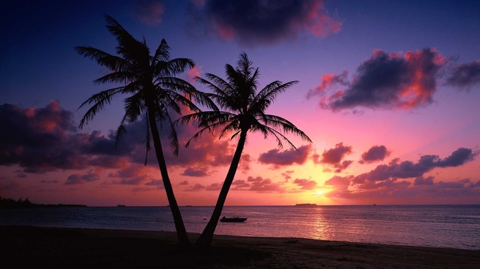silhouette, landscape, clouds, sea, palm trees