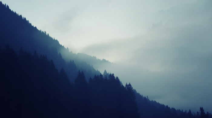 nature, mountain, natural lighting, mist, forest, trees