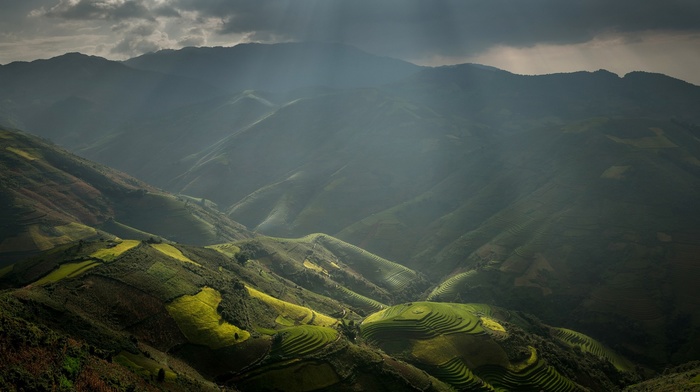 mountain, valley, field, clouds, nature, mist, rice paddy, landscape, terraces, Vietnam, sun rays