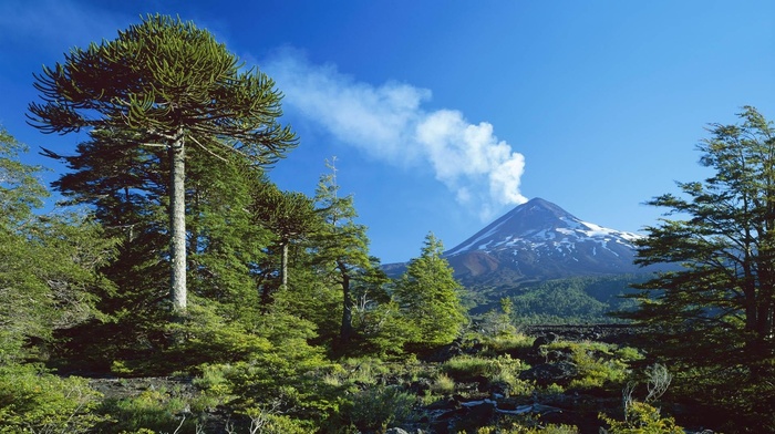 volcano, snowy peak, landscape, Chile, smoke, trees, forest, sky, blue, nature, daylight