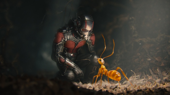 Ant, man, movies, fantasy art, ants