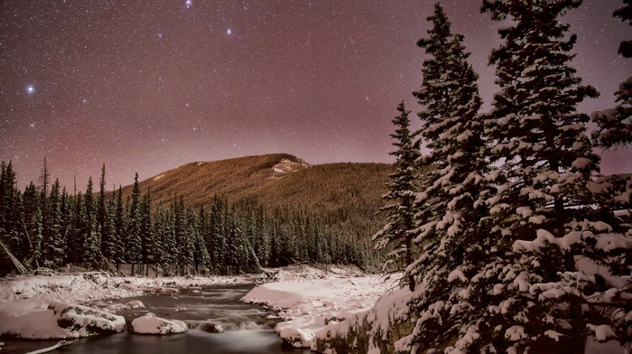 mountain, snow, plants, landscape