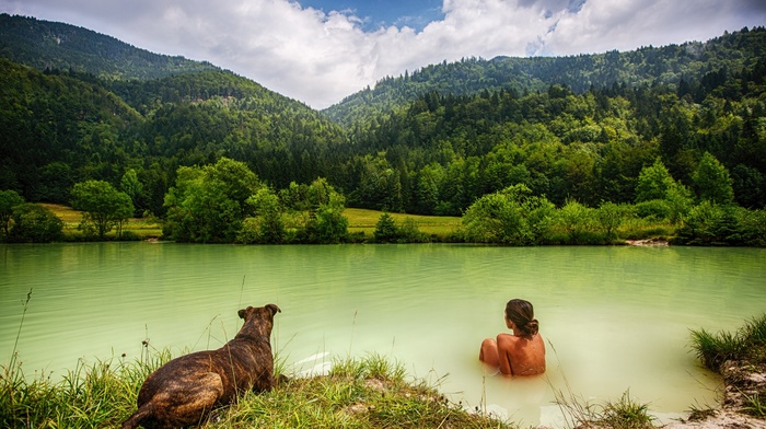 animals, river