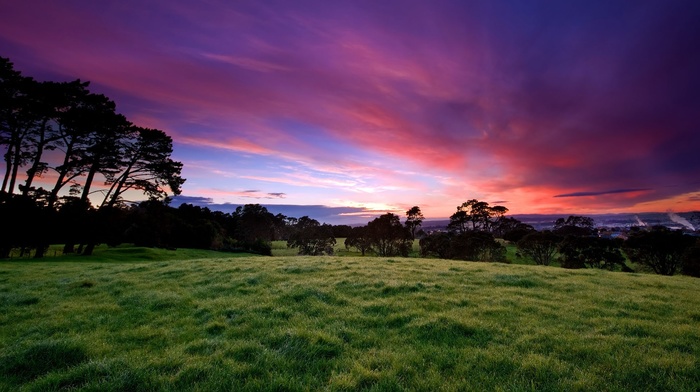 trees, clouds, grass, sky, nature