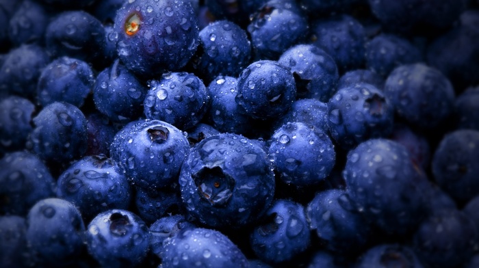 water drops, macro, blueberries, fruit