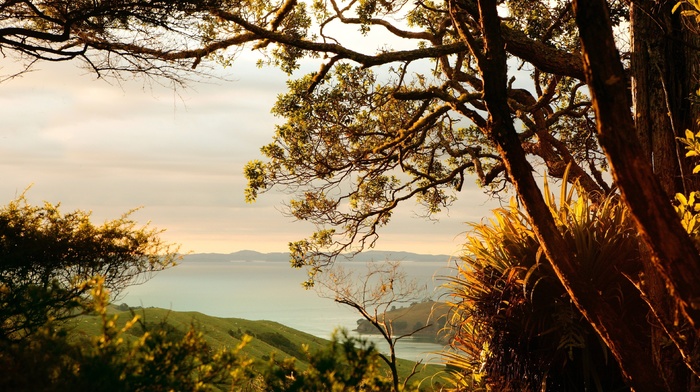 nature, landscape
