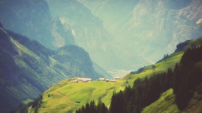 landscape, trees, mountain, mist