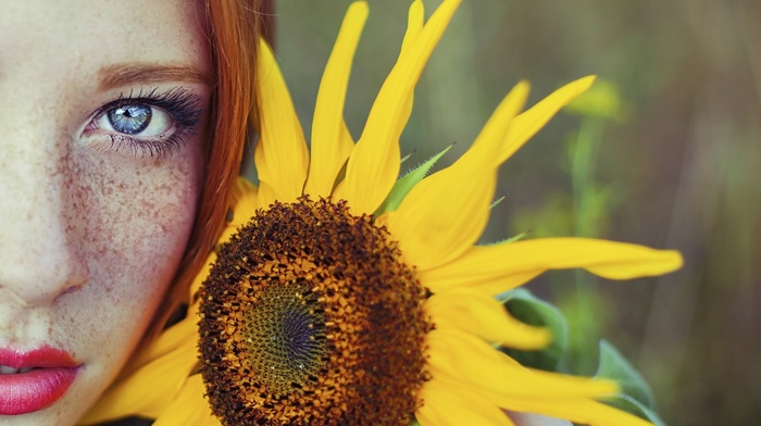 redhead, sunflowers, blue eyes, freckles, girl