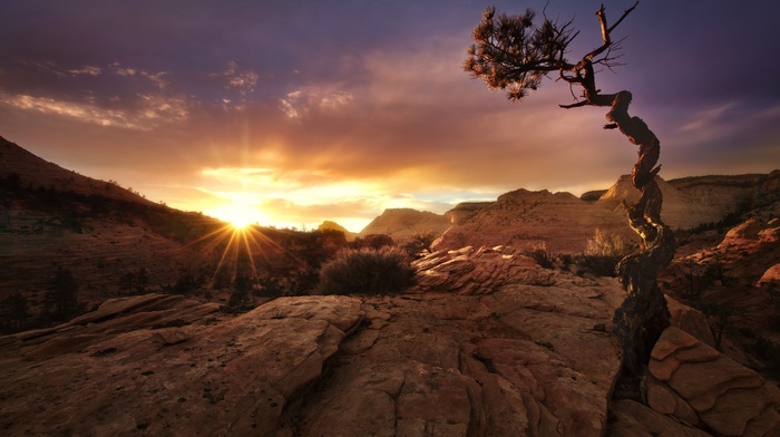 sunlight, landscape, desert, Utah, Zion National Park, sunset, clouds, nature, trees, fall