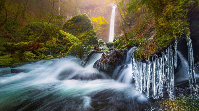 Oregon, landscape, waterfall, ice, morning, frost, long exposure, river, trees, moss, cold, nature